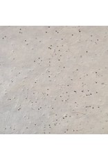 BT009 - Bhutanese paper with amaranth seeds