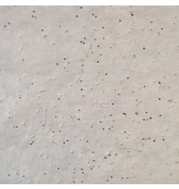 BT009 - Bhutanese paper with amaranth seeds