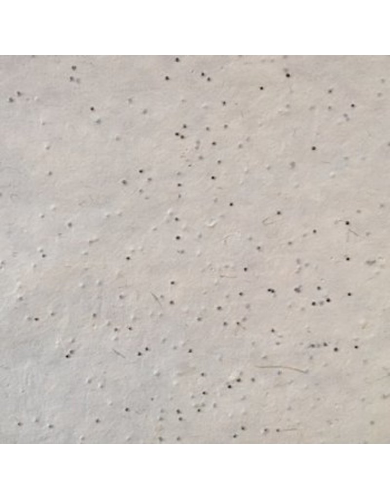 BT009 - Papier bhoutanais avec graines d'amarante