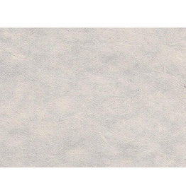 BT028 - Bhutaans papier met mitsumata vezels