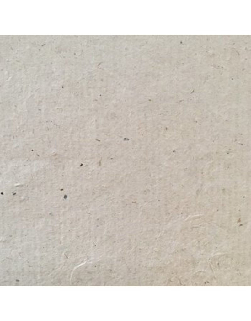 BT030 - Papier bhoutanais avec fibres de daphné