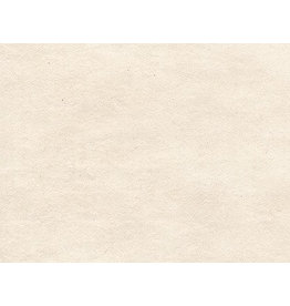 BT032 Bhutanees Mitsumata papier fin
