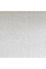 BT038 - Papier bhoutanais avec fibres de mitsumata