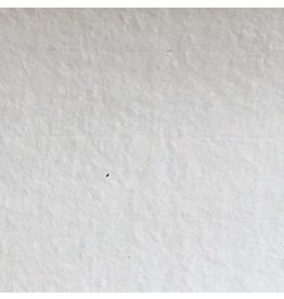 BT038 - Bhutaans papier met mitsumata vezels