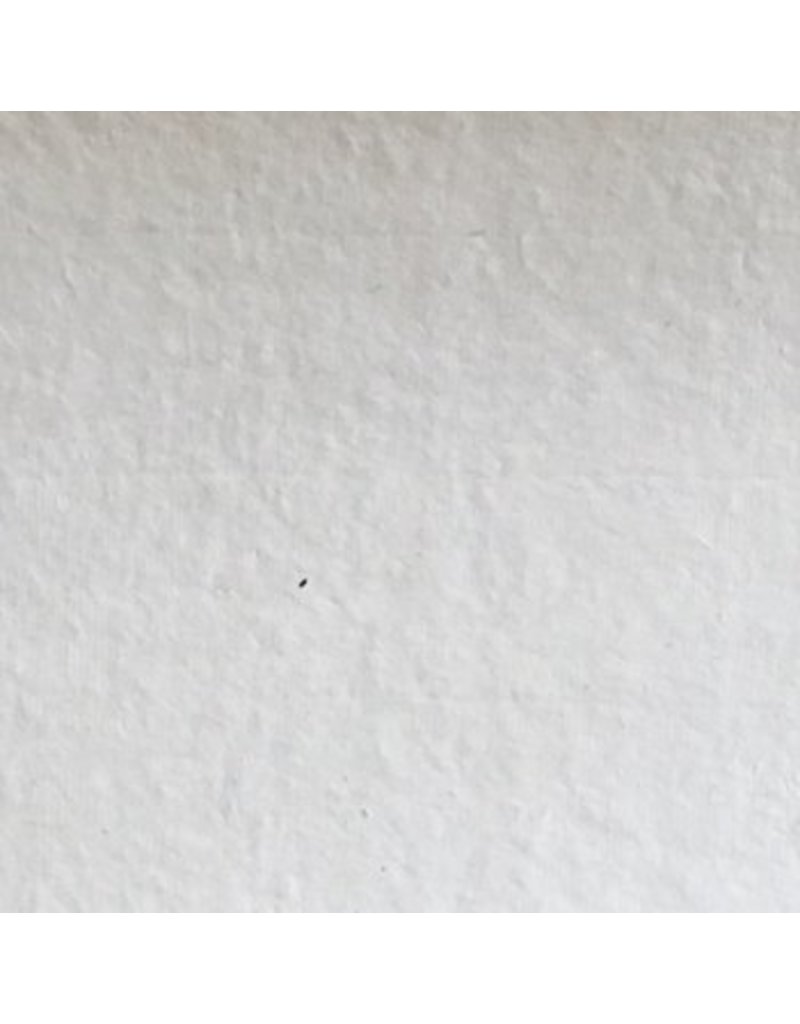 BT038 - Bhutaans papier met mitsumata vezels