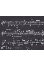 NE195 - Lokta papier met muziekbalk