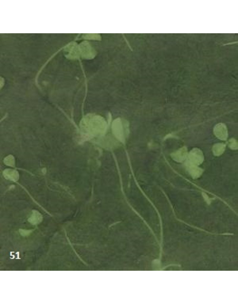 NE203 - Lokta paper with leaf print