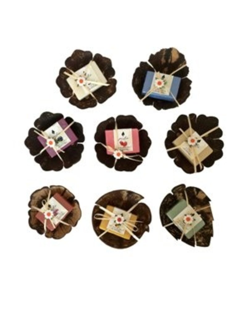 Coconut shell with soap