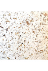 TH858 - Mulberry paper with coffee vibres