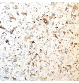 TH858 - Mulberry paper with coffee vibres