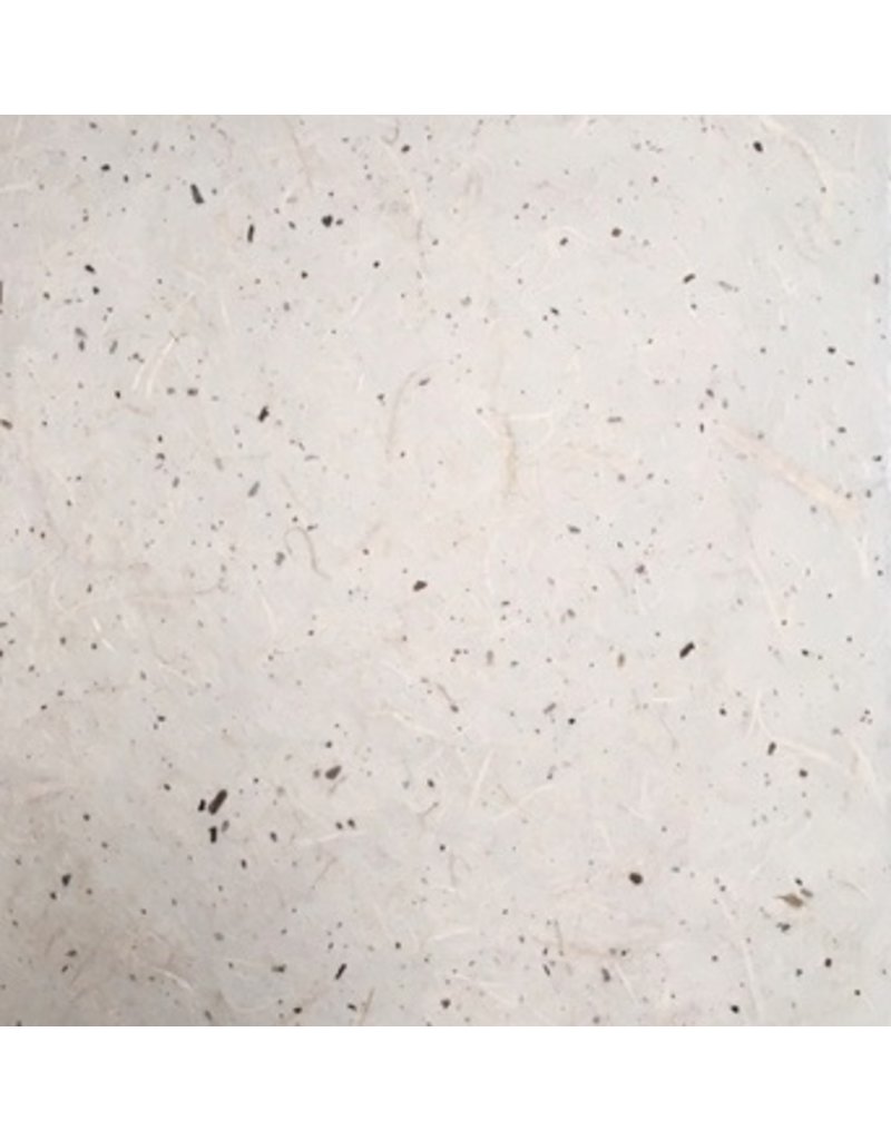 TH750 - Mulberry paper with grass fibres