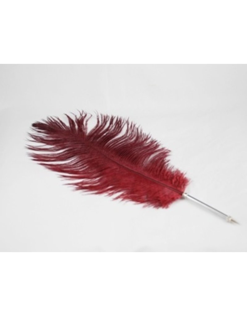 Luxury pen with ostrich feather