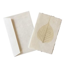 A6022 - Lot de 6 cartes doubles avec une feuille de bodhi