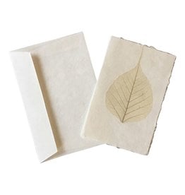 A6022 - Set of 6 double cards with bodhi leaves