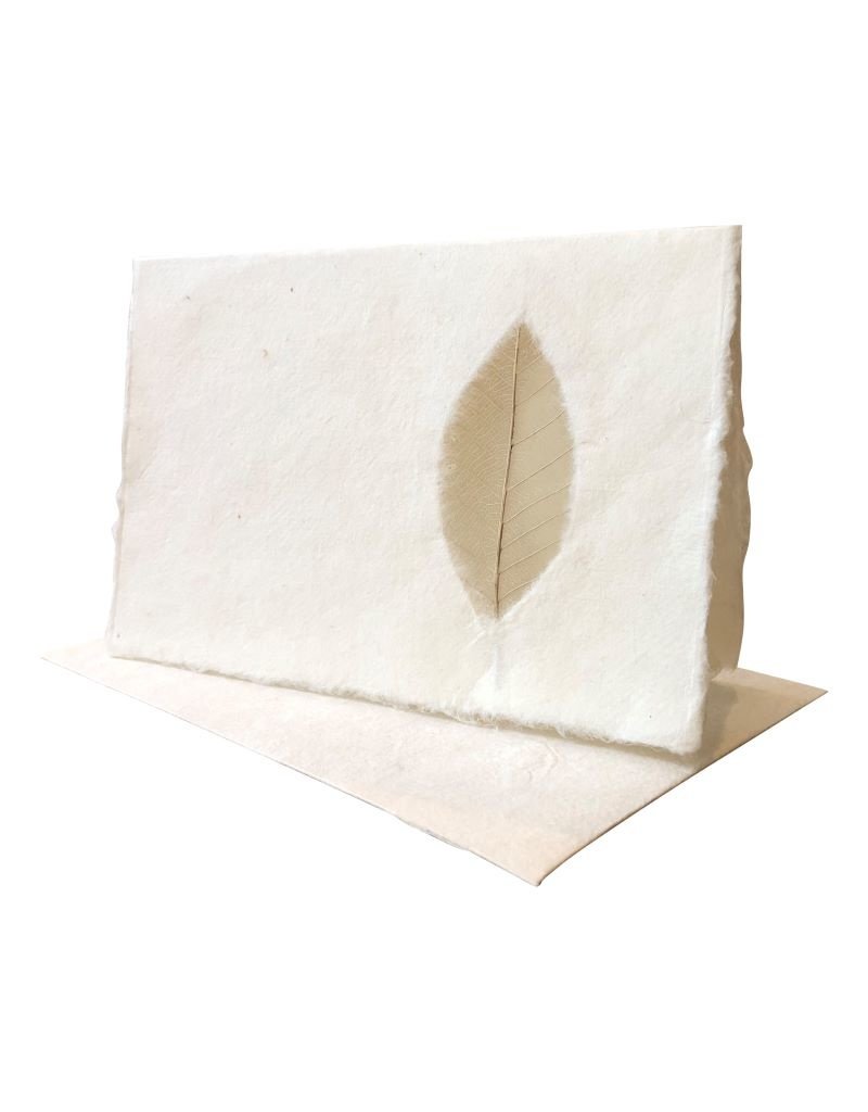 Set of  double cards with grain leaf, with envelopes