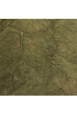TH845 - Papier de mûrier feuilles de teck
