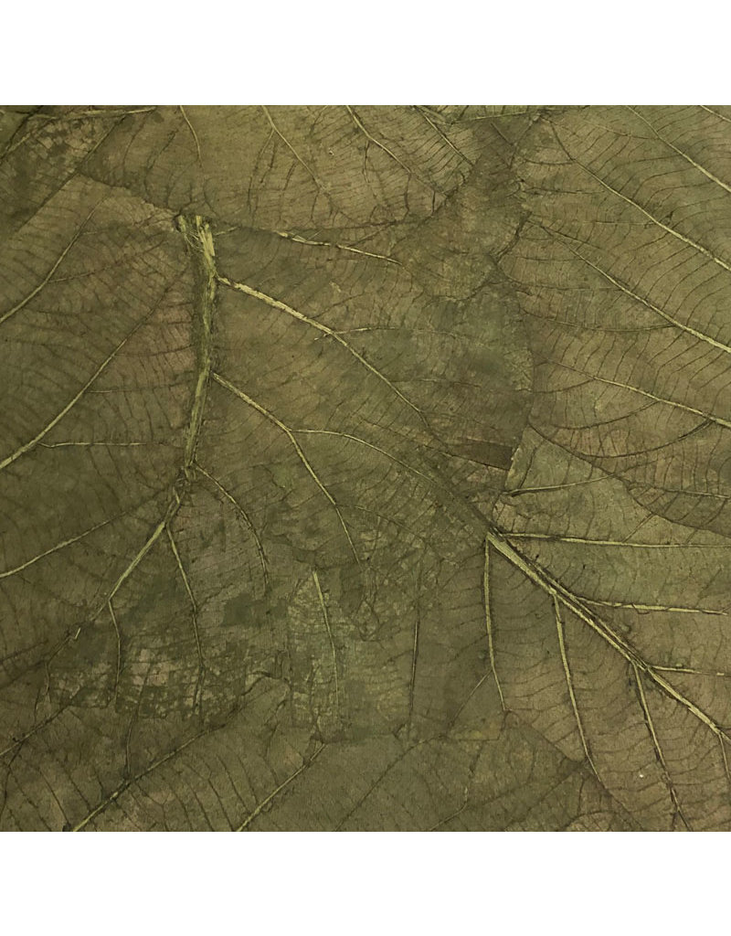 TH845 - Papier de mûrier feuilles de teck