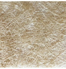 TH829 Mélange de papier de mûrier et de fibres de pitaya