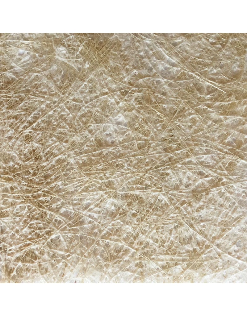 Mulberrypaper with pitaya fibres