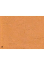 Lot de 25 feuilles de papier mulberry, 100 gr.