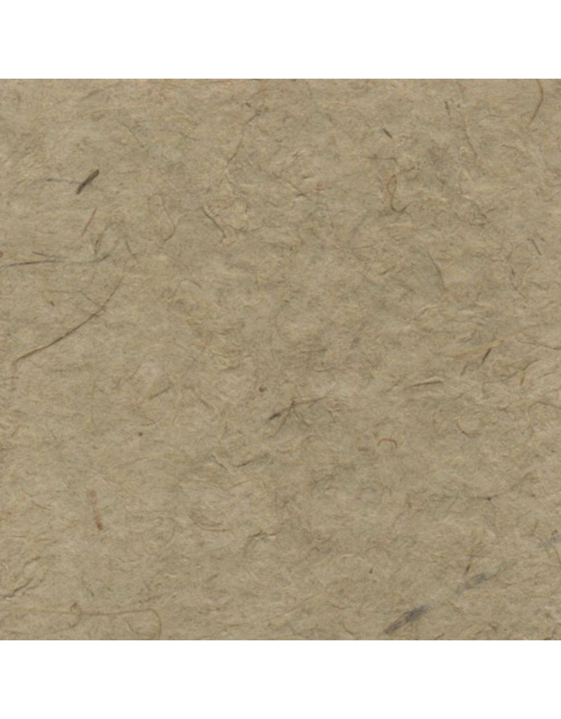 BT020 - Bhutaans papier met grasvezels