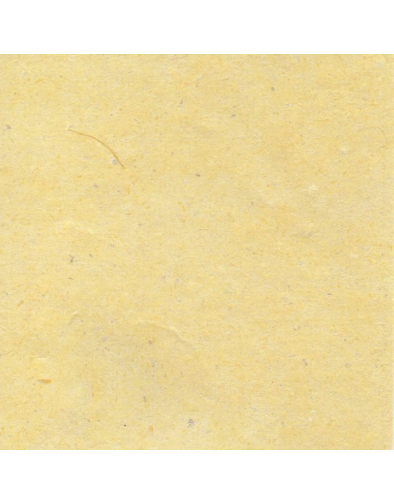 Papier de Gampi/morceaux de nacre