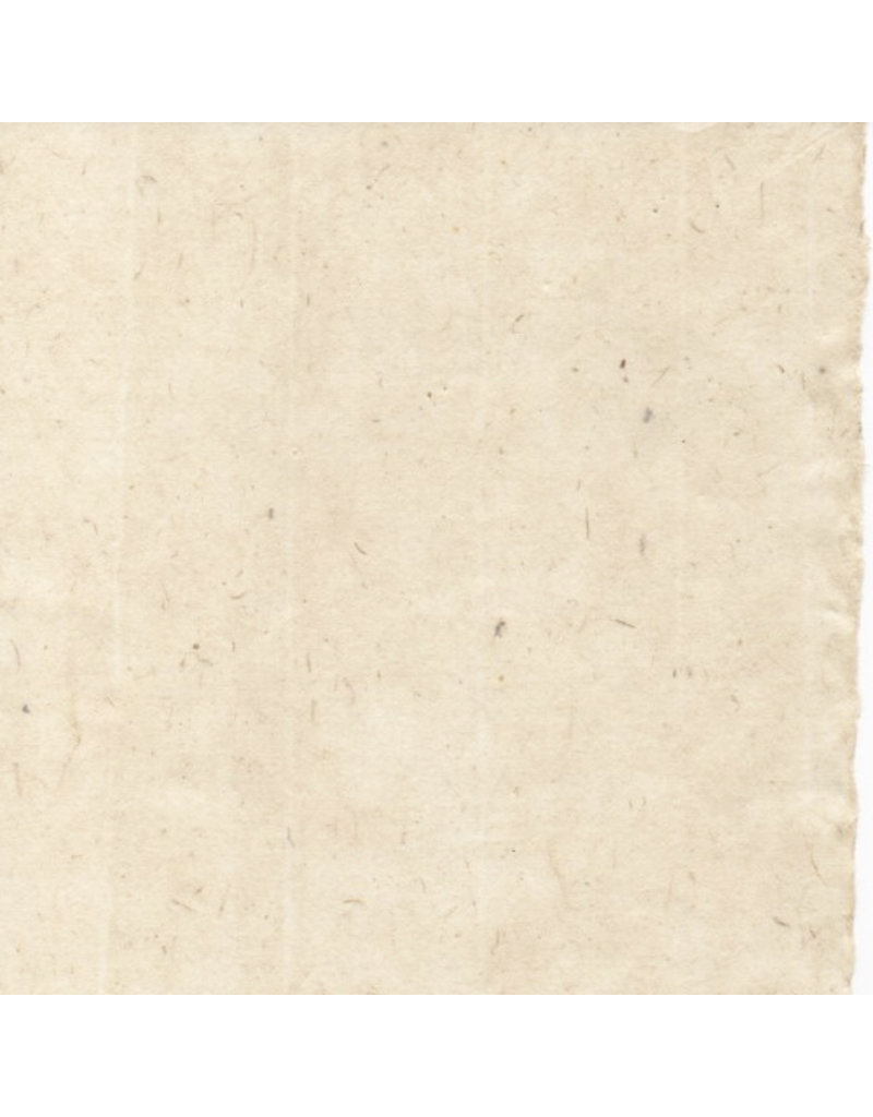 BT031 - Bhutanese paper with mitsumata fibres