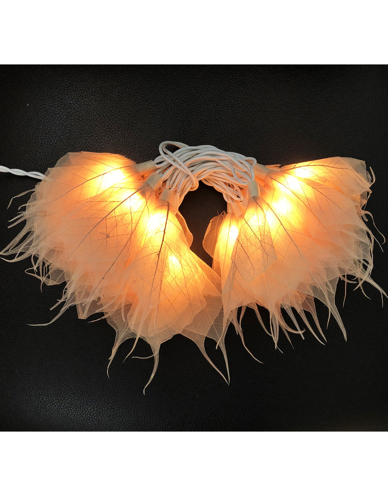 . TH389 - Lumiere fleurs de feuilles de bodhi