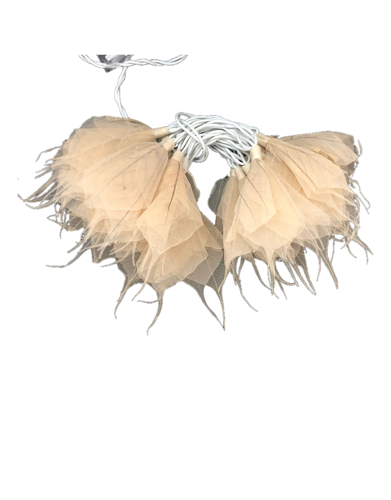 . TH389 - Lumiere fleurs de feuilles de bodhi