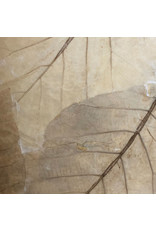 TH845 - Mulberry papier met teak bladeren