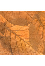 TH845 - Mulberry papier met teak bladeren