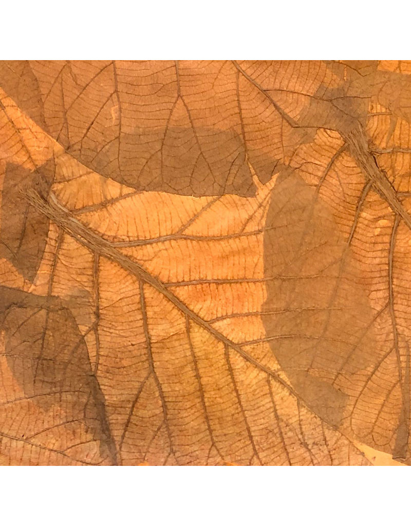 Mulberrypaper withteak leaves