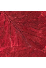 TH845 - Mulberry papier met teak bladeren