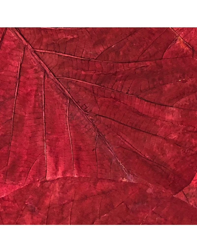 Mulberrypaper withteak leaves