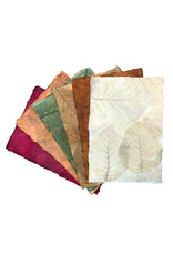 TH845 - Papier de mûrier feuilles de teck