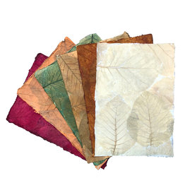 TH845 Papier de mûrier feuilles de teck