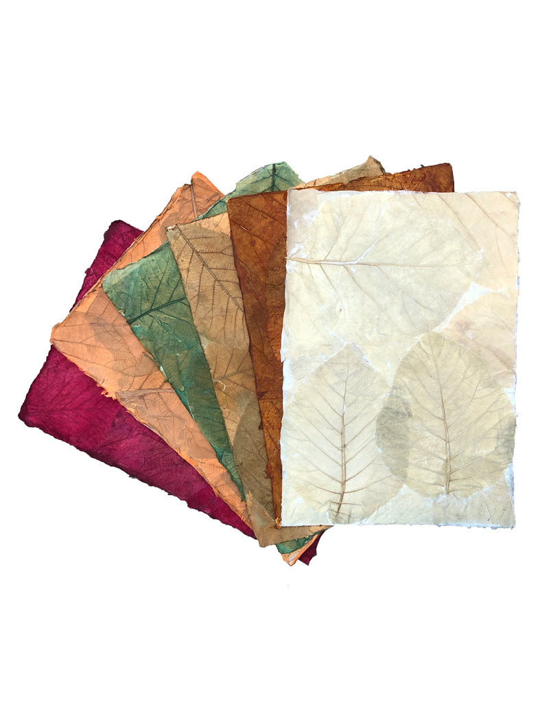 TH845 - Mulberrypaper teak leaves