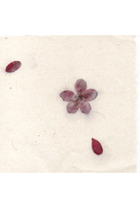 Papier gampi avec des fleurs de trivia, 90 grs