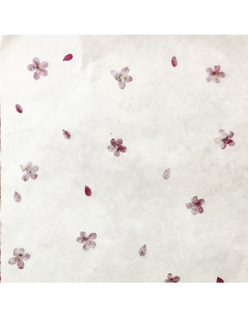 Papier gampi avec des fleurs de trivia, 90 grs