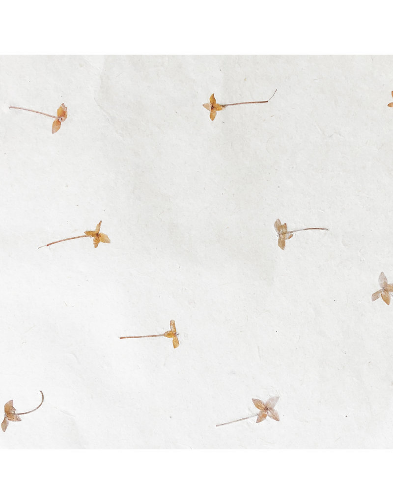 Gampi-Papier mit Santanblüten, 90 grs
