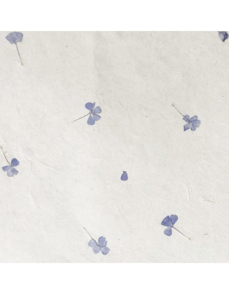 Gampi paper with forget-me-nots