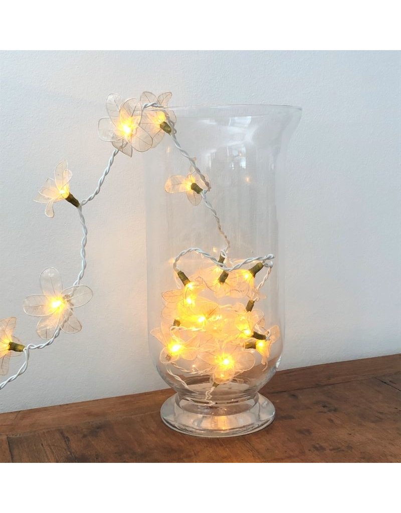 . Lichterkette Skelettblatt-Blumen
