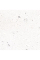 Papier Gampi avec perle (capiz), 120 gr