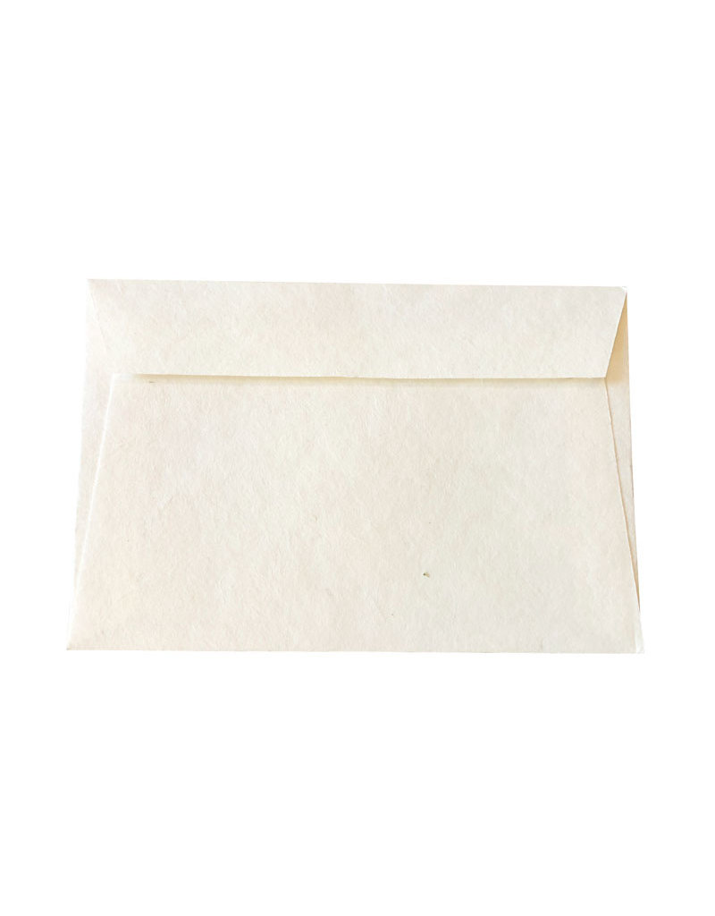Ensemble de 20 enveloppes mulberry,