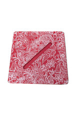 AE910 - Collection box coton 22x22cm