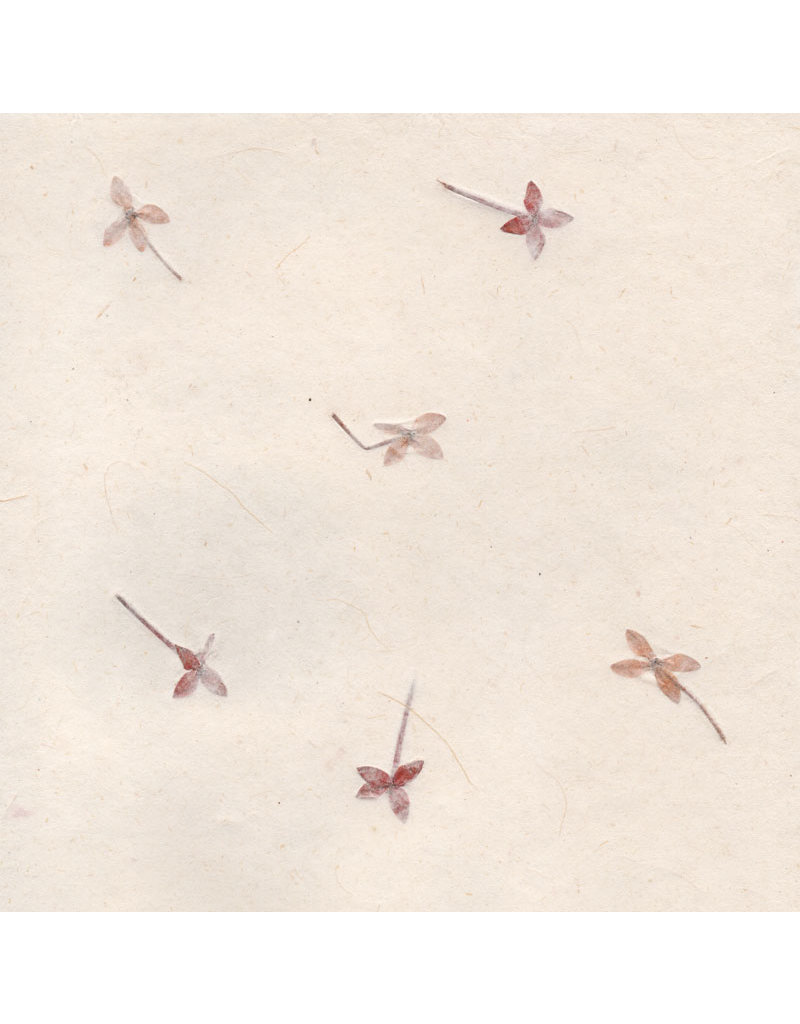 Gampi paper with flowers, 90 gsm