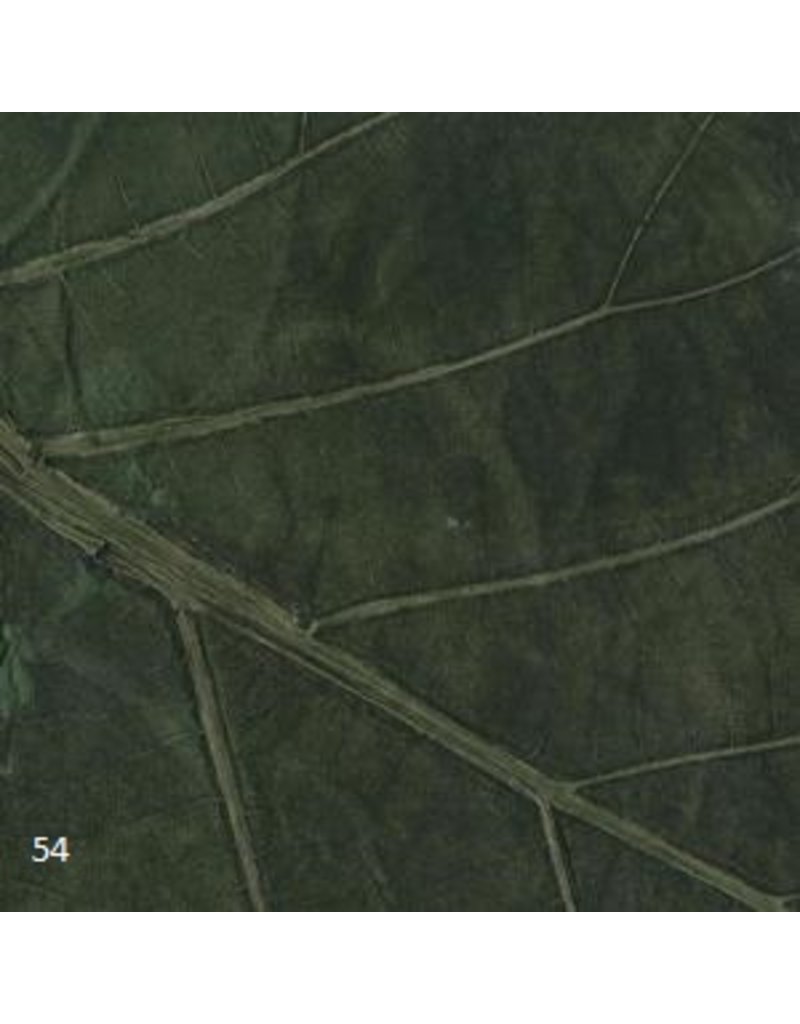 TH845 - Mulberrypaper teak leaves