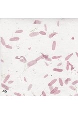 TH866 - Mulberry paper with tamarind leaves