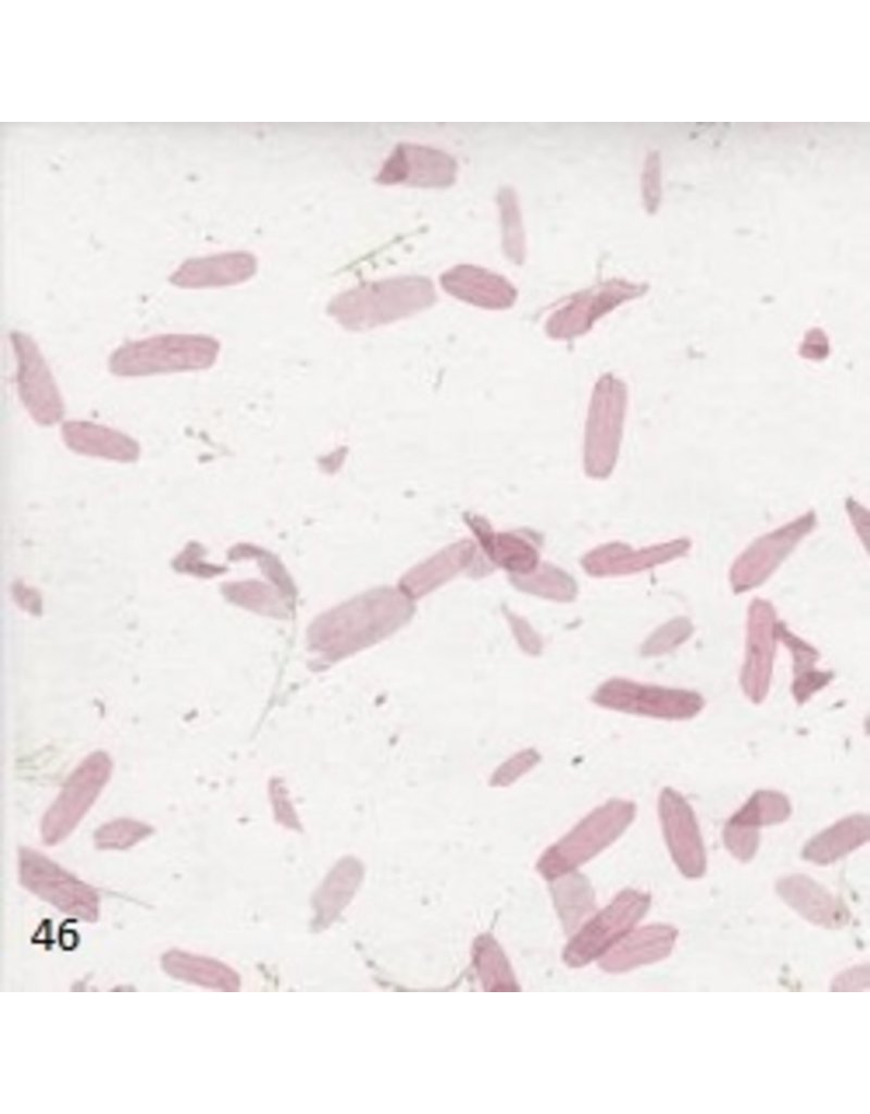 TH866 - Mulberry paper with tamarind leaves