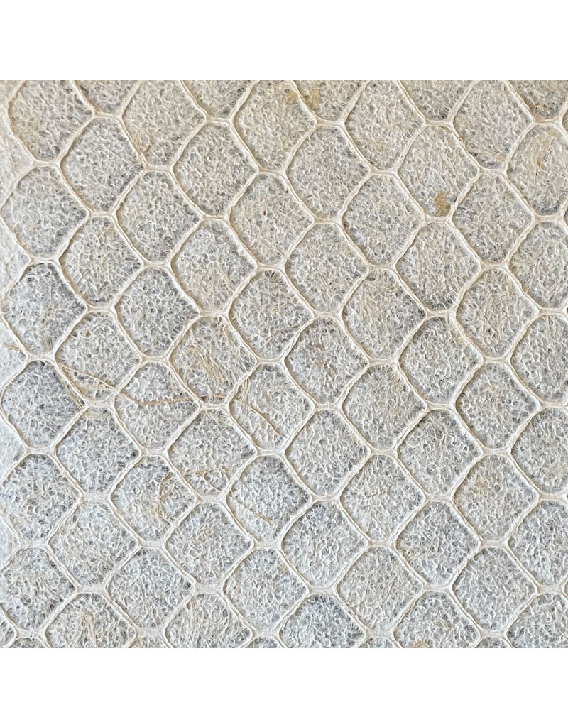 Fibres végétales d'agave